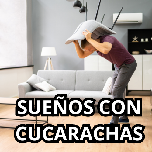 SUEÑOS CON CUCARACHAS