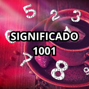 significado 1001