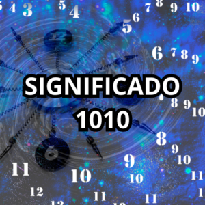 significado 1010