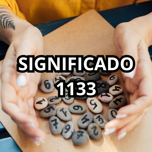 significado del 1133